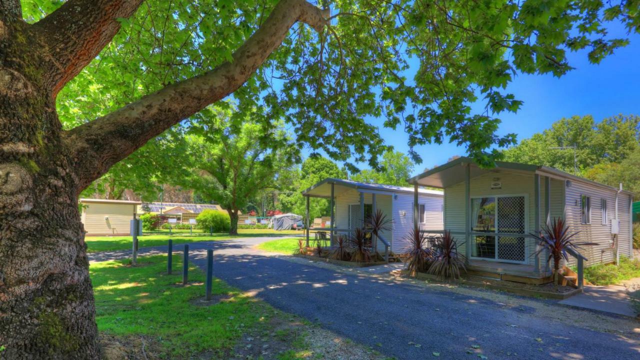 Myrtleford Holiday Park Экстерьер фото